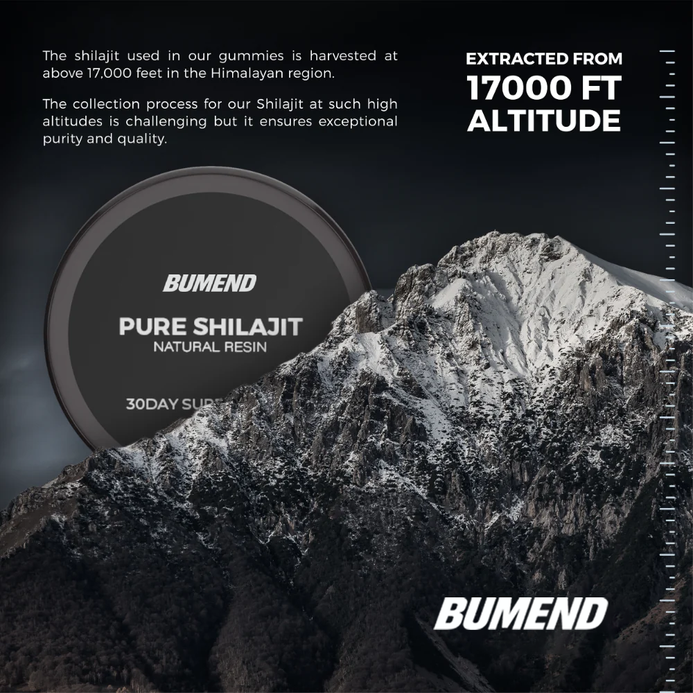 BUMEND Pure Shilajit Natural Resin