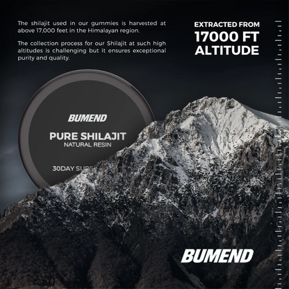 BUMEND Pure Shilajit Natural Resin